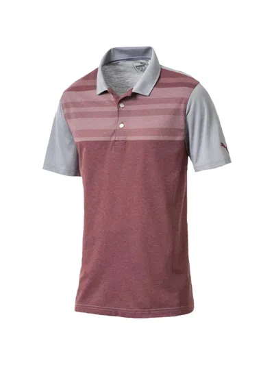 Puma Crossings Striped Polo Shirt In Brown