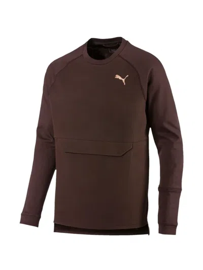 Puma Desert Actum Long-sleeve T-shirt In Brown