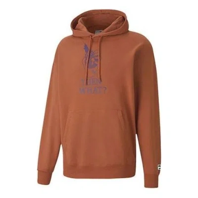 Puma Downtown Graphic Hoodie 'brown'
