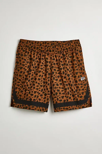 Puma Downtown Kitten Print Short In Brown, Men's At Urban Outfitters