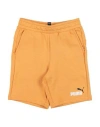 Puma Babies'  Ess+ 2 Col Shorts Tr Toddler Boy Shorts & Bermuda Shorts Mandarin Size 6 Cotton, Polyester