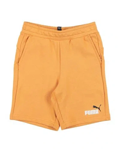 Puma Babies'  Ess+ 2 Col Shorts Tr Toddler Boy Shorts & Bermuda Shorts Mandarin Size 6 Cotton, Polyester In Orange