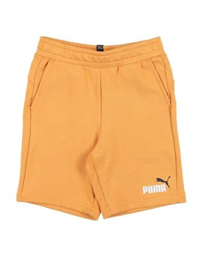 Puma Babies'  Ess+ 2 Col Shorts Tr Toddler Boy Shorts & Bermuda Shorts Mandarin Size 6 Cotton, Polyester
