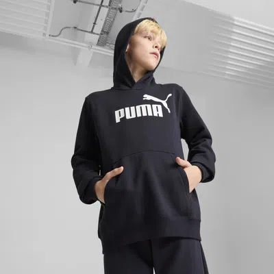 Puma Kids' Ess No. 1 Logo Fleece Hoodie Youth In Blue