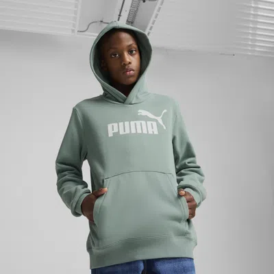 Puma Kids' Ess No. 1 Logo Fleece Hoodie Youth In Green