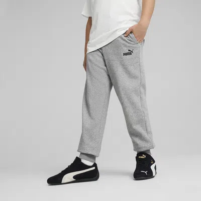 Puma Kids' Ess No. 1 Logo Fleece Sweatpants Youth In Gray