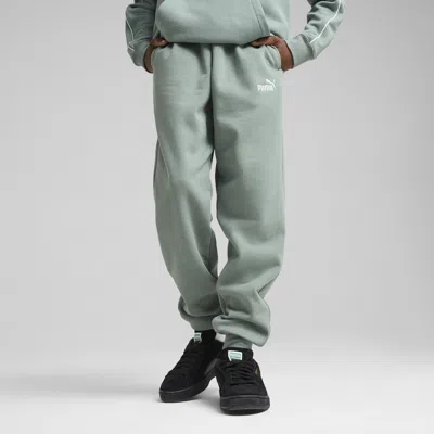 Puma Kids' Ess No. 1 Logo Fleece Sweatpants Youth In Green