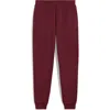 Puma Essential No. 1 Logo Sweatpants In Red