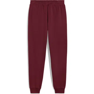 Puma Essential No. 1 Logo Sweatpants In Red