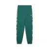 Puma Essentials Aop Track Pant Men In Green