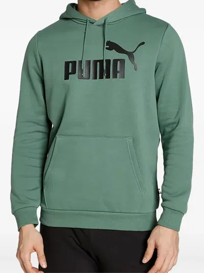 Puma Essentials Big Logo Hoodie In Gray