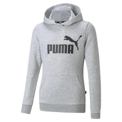 Puma Essentials Logo Hoodie Big Kids In Light Gray Heather