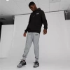 Puma Essentials Mens Regular Fit Knit Active Jogger Pant In Gray