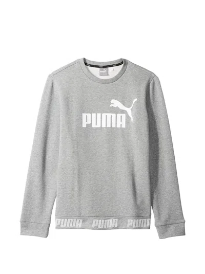 Puma Essentials No. 1 Crew-neck Sweatshirt In Multi