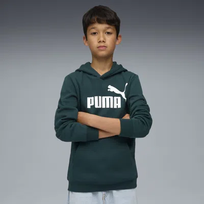Puma Essentials No. 1 Logo Big Kids' Fleece Hoodie In Green