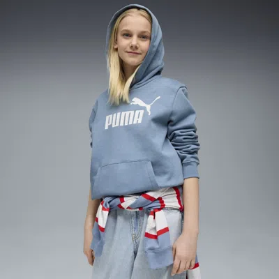 Puma Essentials No. 1 Logo Big Kids' Hoodie In Blue