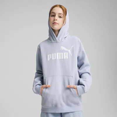 Puma Essentials No. 1 Logo Big Kids' Hoodie In Blue
