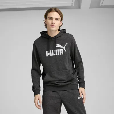 Puma Kids' Ess No. 1 Logo Hoodie In Gray
