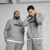 Puma Essentials No. 1 Logo Hoodie Men In Gray