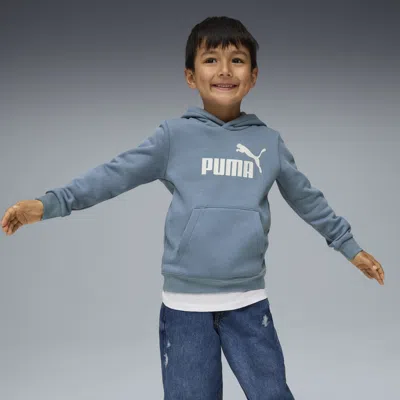 Puma Essentials No. 1 Logo Little Kids' Fleece Hoodie In Blue