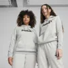 Puma Essentials No. 1 Logo Women's Hoodie In Gray