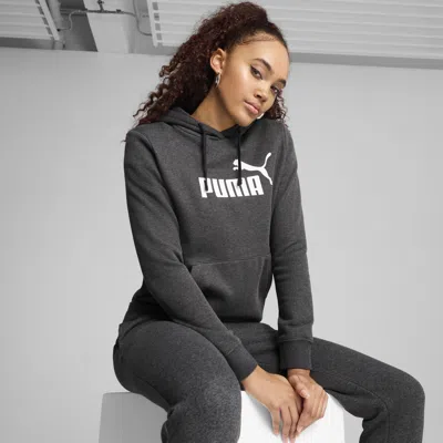 Puma Essentials No. 1 Logo Women's Hoodie In Gray