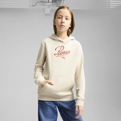 Puma Essentials Script Big Kids' Hoodie In White
