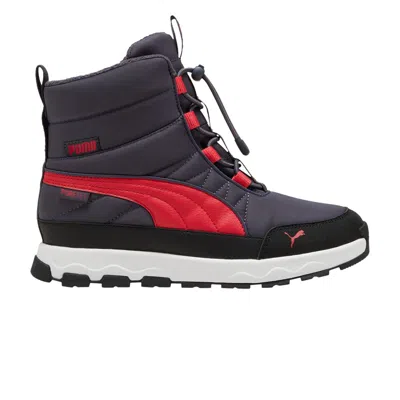 Pre-owned Puma Evolve Big Kid Pure-tex 'galactic Grey Tart Cherry' | Kid's Size 5 In Gray