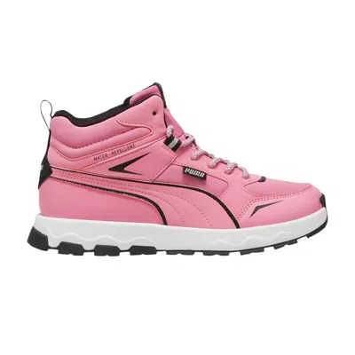 Pre-owned Puma Evolve Trail Big Kid 'mauved Out' | Pink | Kid's Size 4.5