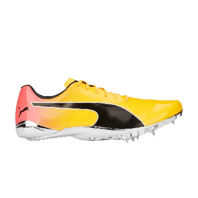 Pre-owned Puma Evospeed Electric 13 'sun Stream Sunset Glow' In Yellow