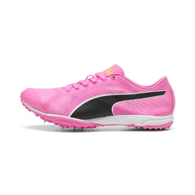 Puma Evospeed Haraka 8 Long Distance Track Spikes Shoes In Neutral