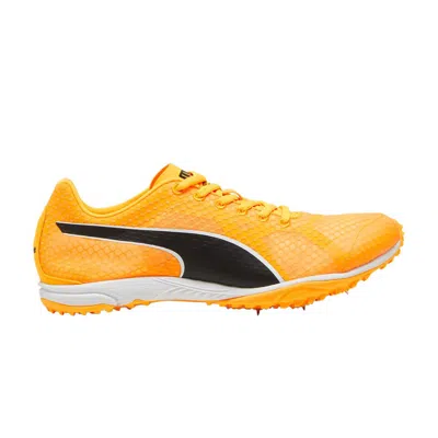 Pre-owned Puma Evospeed Haraka 8 'sun Stream' In Yellow