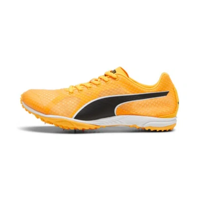 Puma Evospeed Haraka 8 Track Spikes Shoes In Sun Stream- Black- White