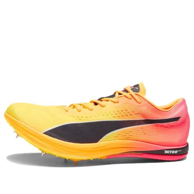 PUMA PUMA EVOSPEED LONG DISTANCE NITRO ELITE+ SPIKE SHOES 'ORANGE'