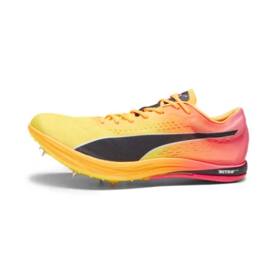 Puma Evospeed Long Distance Nitro™ Elite+ Track Spikes Shoes In Sun Stream-sunset Glow- Black