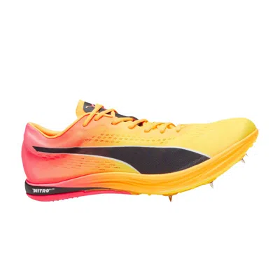 Pre-owned Puma Evospeed Long Distance 'sun Stream Sunset Glow' In Yellow