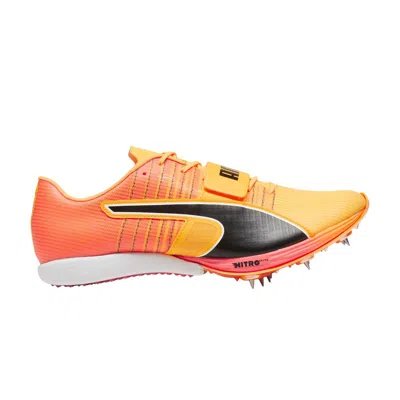 Pre-owned Puma Evospeed Nitro Long Jump 2 'sun Stream Black' In Orange