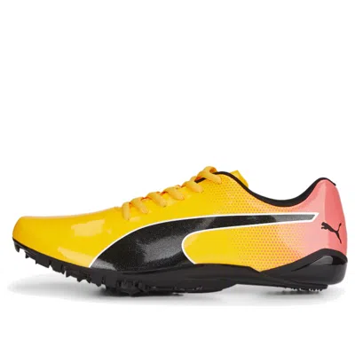 Puma Evospeed Prep Sprint 3 'sun Stream Black' In Multi