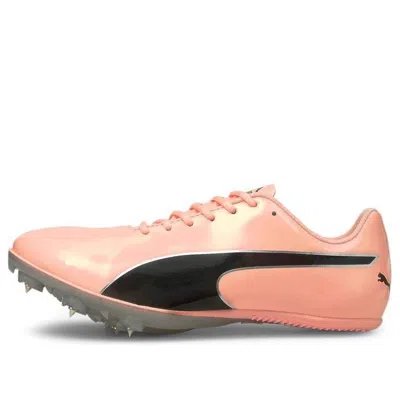 Puma Evospeed Sprint 10 'elektro Peach' In Pink