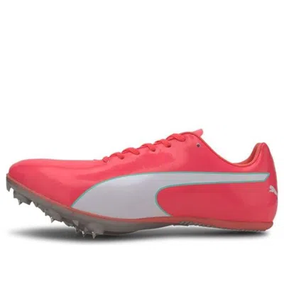 Puma Evospeed Sprint 10 'ignite Pink' In Multi