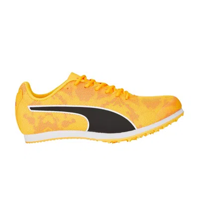 Pre-owned Puma Evospeed Star 8 Big Kid 'sun Stream' | Yellow | Kid's Size 5.5