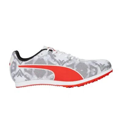 Pre-owned Puma Evospeed Star 8 Big Kid 'white Black Red' | Kid's Size 6