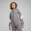 Puma Evostripe Full-zip Hoodie Youth In Gray