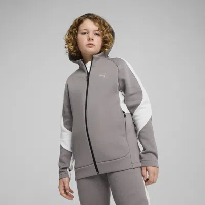 Puma Kids' Evostripe Full-zip Hoodie Youth In Gray