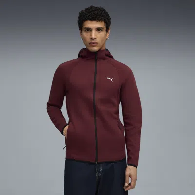 Puma Evostripe Hoodie Men In Brown