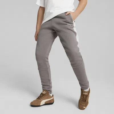 Puma Kids' Evostripe Pants Youth In Gray