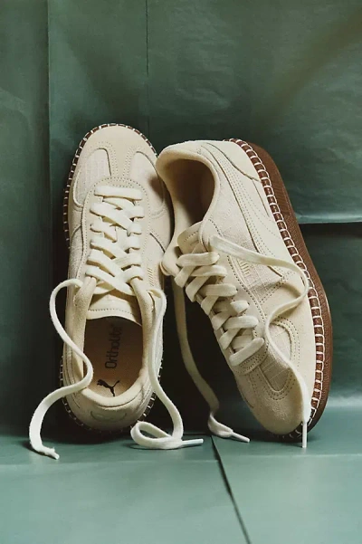Puma Exclusive Palermo Sneakers In Neutral