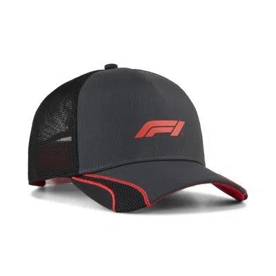 Puma F1® Trucker Hat In Gray