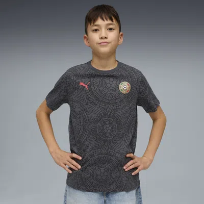Puma Fanpack Mexico Big Kids' Graphic Soccer T-shirt In Gray