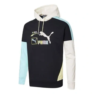 Puma Florid Logo Hoodie 'black'
